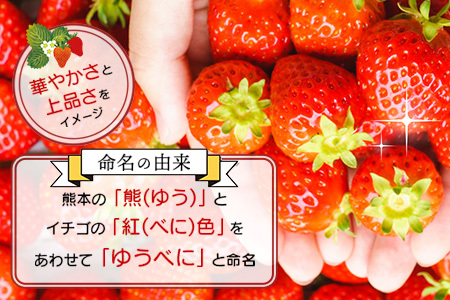【4月20日まで】熊本県産 ゆうべに 約260g×2パック 4月終了 103-0001