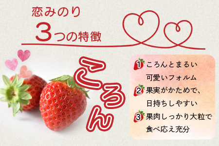 【先行予約】熊本県産いちご 恋みのり 約260g×2パック 103-0003
