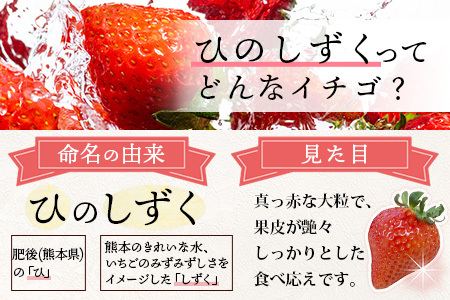 熊本県産 いちご【ひのしずく】約520g(260g×2パック) 103-0005