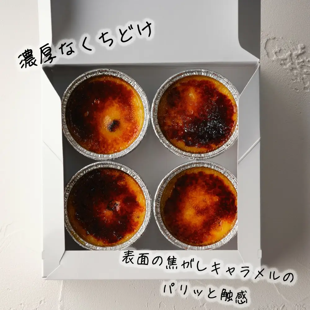 40P5604 比内地鶏の低糖質カタラーナ