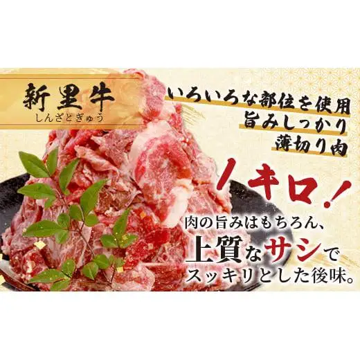 石垣島産 黒毛和牛 新里牛 多用途抜群！切落し（1kg×1）合計1kg SZ-25