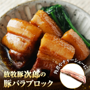 放牧豚次郎の豚バラブロック2.0kg【er008-006】400g × 5パック 北海道 えりも町 ブランド 豚 放牧豚 次郎 豚バラ バラ肉 人気