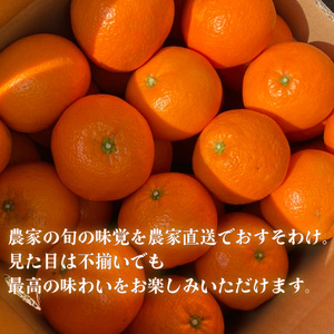 【2027年2月上旬から発送予定】 宮内伊予柑 家庭用 小玉 5kg サイズ混合 柑橘 みかん 果物 くだもの フルーツ おすすめ 人気 お取り寄せ グルメ ギフト 期間限定 数量限定 ご当地 愛媛県 松山市【RNK0103】