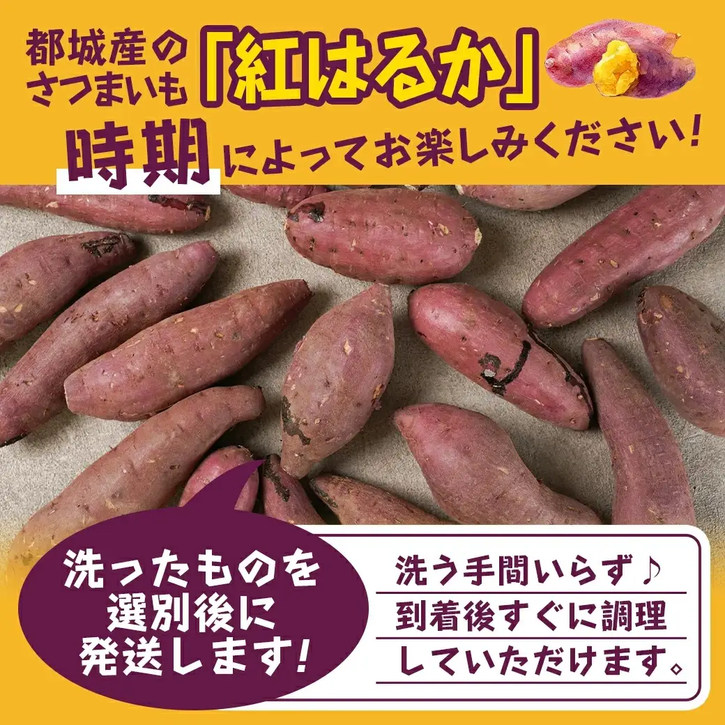 【新芋】芋名人が認めるさつまいも『洗い済み　紅はるか』5.2kg Lサイズ ※9月～11月頃順次発送〔LE-L702-N〕_(都城市) 宮崎県都城産 紅はるか Lサイズ