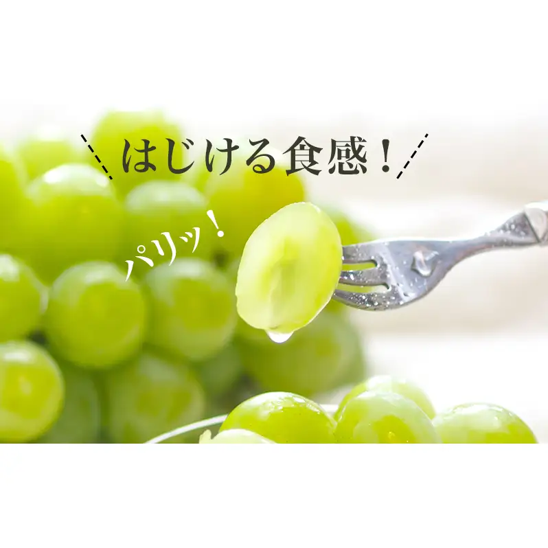 ぶどう 2026年 先行予約 マスカット・オブ・アレキサンドリア 1房 700g以上 化粧箱入り マスカット ブドウ 葡萄 岡山県産 国産 フルーツ 果物 ギフト 