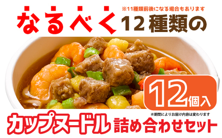 【05-05-C】「インスタントラーメン発祥の地・大阪池田」お手頃ハーフサイズセット