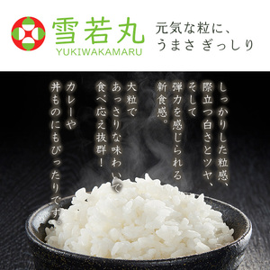 【定期便3回】 令和7年産 雪若丸 5kg×3ヶ月(計15kg) FZ23-691