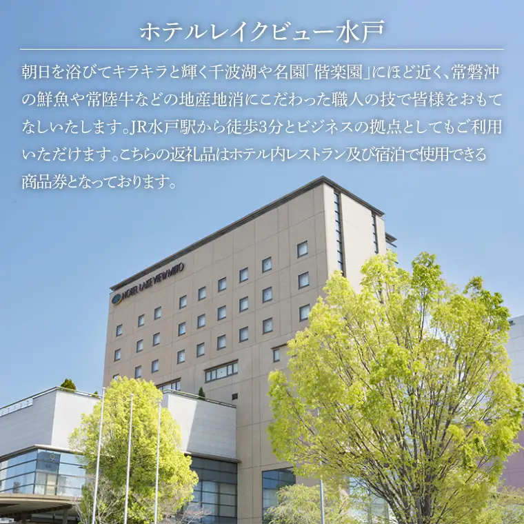 ホテルレイクビュー商品券１万円分（GF-1）