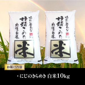令和7年産 米 白米 10kg にじのきらめき 5kg × 2袋 精米 近江米 ニジノキラメキ 国産 お米 米 おこめ ごはん ご飯 白飯 しろめし こめ ゴハン 御飯 滋賀県産 竜王 ふるさと ランキング 人気 おすすめ