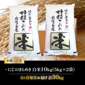 令和7年産 米 にじのきらめき 定期便 10kg 全3回 白米 5kg × 2袋 3ヶ月 近江米 ニジノキラメキ 国産 お米 米 おこめ ごはん ご飯 白飯 しろめし こめ ゴハン 御飯 滋賀県産 竜王 ふるさと ランキング 人気 おすすめ
