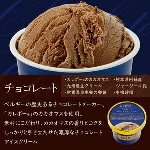 アイスクリーム アイス 濃厚でなめらかな口溶け！アイスクリーム3種9個 バニラ チョコレート 抹茶 スイーツ お菓子 ギフト プレゼント 洋菓子 人気 詰め合わせ【 財宝 】 KN021-025-01 菓子