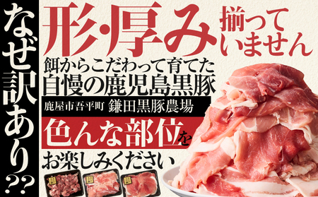 1781 【 訳あり 】鹿児島県産 黒豚 切り落し 2kg（ 500g × 4パック ） KN054-007 肉 豚肉
