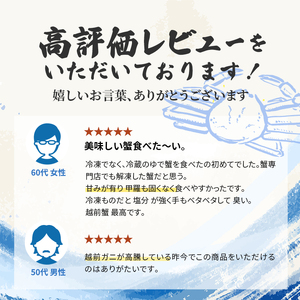 かに 訳あり 期間限定 茹で 越前ガニ 約600g～700g未満1杯 ボイルカニ ボイル 魚介類