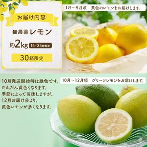 皮まで美味しい無農薬レモン 約2kg【栽培期間中農薬不使用】