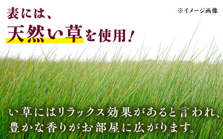 畳屋さんが作った！「わんぱく畳」天然い草半畳タイプ（おむらんちゃん縁）/ 畳 おしゃれ畳 新生活 一人暮らし / 大村市 / 株式会社勝手[ACZJ001]