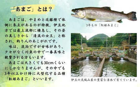 清流の女王！あまごの黄金イクラ（白醤油づけ）【サーモン 天城 川魚 紅姫 サツキマス 清流 湧き水 大型化 刺身 サーモンピンク 脂 清流の女王 釣り人 甘味 美味 絶賛 しずおか食セレクション 養殖魚 塩漬け 絶品 縁起 プレゼント】
