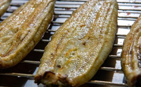 うなぎ 焼きたて 白焼うなぎ 3枚