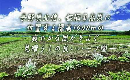 ハーブティー 1袋 ( 5g ) 種類おまかせ 飯綱ハーバルブリーズ 飲料 ハーブ ティー お茶 ミント マロウ キンセンカ シャクヤク カモミール 信州 長野県 飯綱町 [1750]