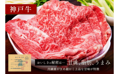 【神戸牛 すき焼き＆しゃぶしゃぶセット（モモ500g）冷凍】和牛 牛肉 ステーキ しゃぶしゃぶ すき焼き 焼肉 大人気 ふるさと納税 キャンプ バーベキュー 年末年始 お盆 パーティー ギフト ごちそう 但馬牛 但馬 神戸  村岡 和牛セレブ 30000円 58-02