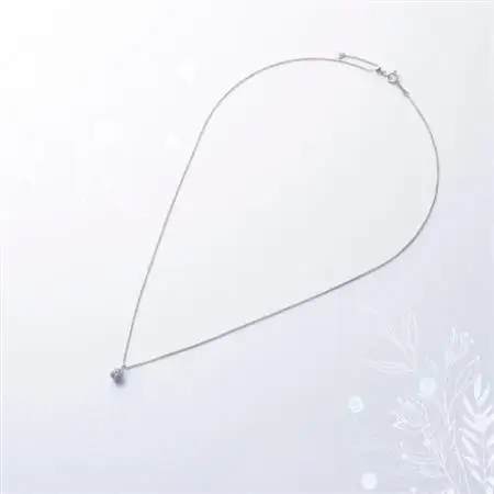 プラチナ最上等級【Dカラー】大粒ダイヤモンドネックレス 0.3ct UP【配送不可地域：沖縄県】【1469142】