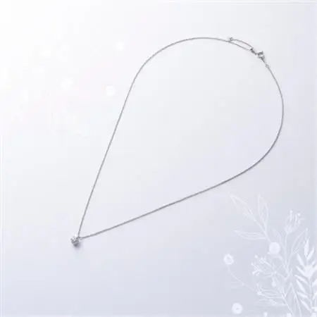 プラチナ最上等級【Dカラー】大粒ダイヤモンドネックレス 0.3ct UP 爪留め【配送不可地域：沖縄県】【1469145】