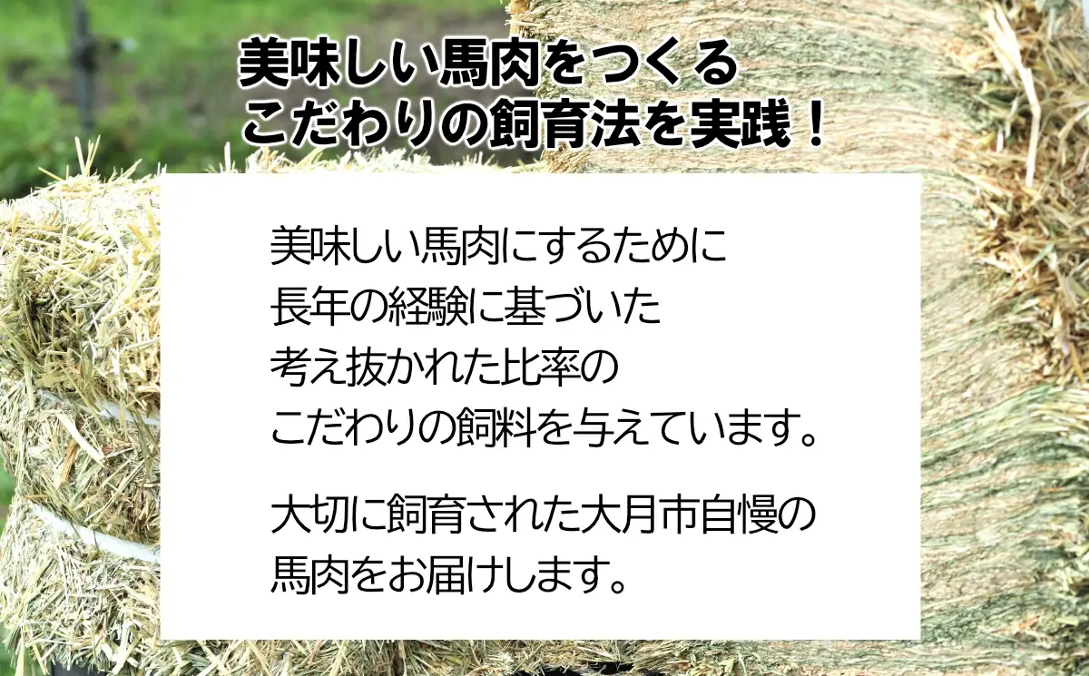 大月市内で肥育【赤身馬刺し】モモ　300g以上（ブロック×1～3個）【1087-029】