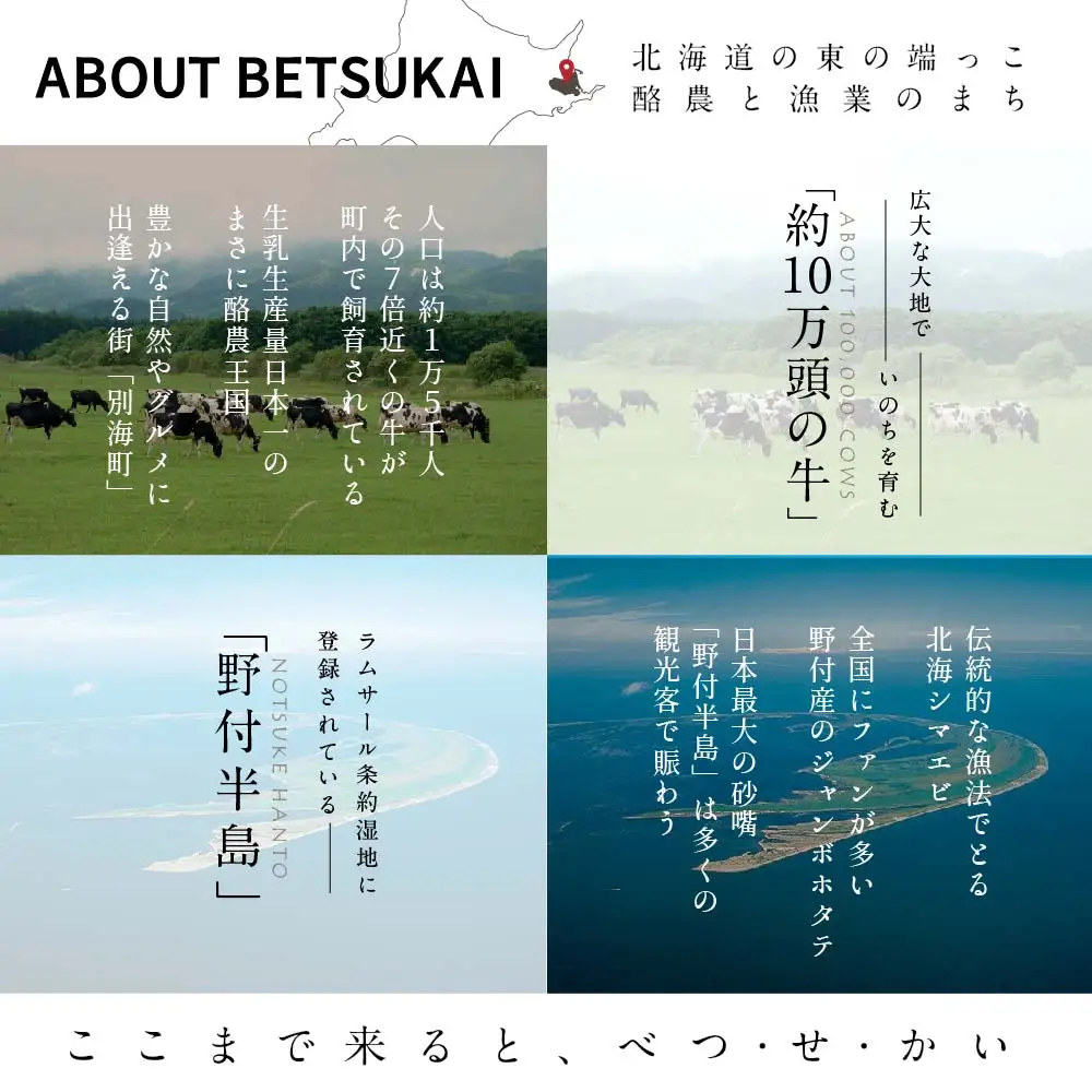 ひがし北海道 別海町の旅（羽田発着 ANA往復 航空券+別海町 宿泊1泊+レンタカー 北海道 旅行券） 旅行