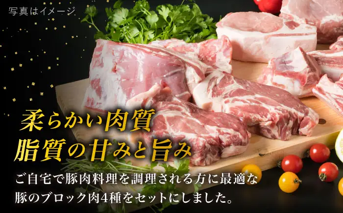 【全12回定期便】【盛り合わせ】 糸島産豚肉 ブロック肉4品盛合せセット 約2.8kg 糸島市/糸島ミートデリ工房 [ACA280]