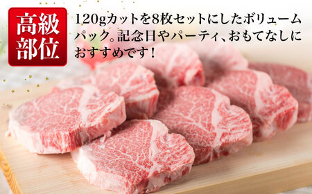 【全12回定期便】【厚切ヒレステーキ】120g×8枚 A4ランク 博多和牛 糸島市/糸島ミートデリ工房 [ACA292]