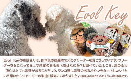 ドッグフード ジャーキー 無添加 馬のふわ ジャーキー 30g ×5袋 