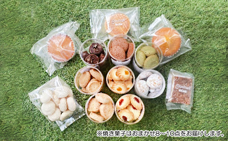 【ふるさと納税】 genius? 焼き菓子アソート(中)  ( 焼き菓子詰め合わせ 8～10点ほどおまかせ ) 洋菓子 焼き菓子 スイーツ ギフト 贈答 お菓子 おやつ ふるさと納税 人気 おすすめ 送料無料 兵庫県 三田市 [3d28bae530008]