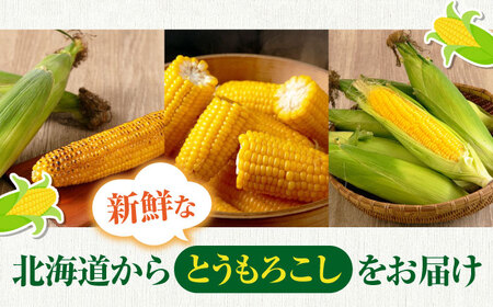 【先行予約】朝採れ とうもろこし 10本 《喜茂別町》【ニセコビュープラザ直売会協同組合】とうもろこし  [AJAH025]