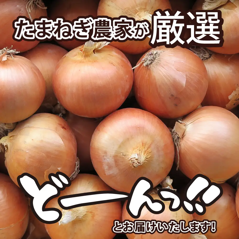 【先行受付】【2026年10月より配送予定】北海道 十勝 芽室産 たまねぎ 10kg 1箱 玉ねぎ 玉葱 タマネギ オニオン 野菜 ベジタブル 産地直送 新鮮 送料無料 お取り寄せ 10キロ 大容量 北海道産 道産 国産 芽室 めむろ 芽室町me002-023-26c