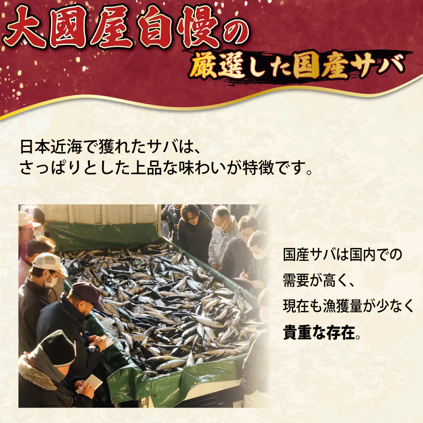 さば 訳あり 国産 無塩 4kg さば
