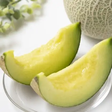 【7月後半発送】 東日流グリーン メロン (贈答用) 1玉 青森県産 メロン