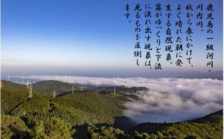 ZS-749 【鹿児島限定】川内川あらし（７２０ml）(化粧箱入り）