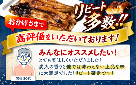 12回定期便 国産 うなぎ 2尾 CCA022  海鮮 鰻 うなぎ 贈答 ギフト ウナギ