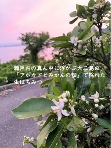 【数量限定】はちみつ450g 1瓶 Kura-Kura農園[V001330]