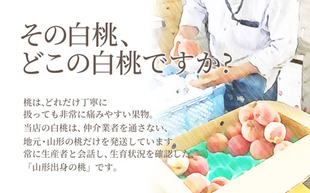《先行予約 2026年度発送》山形県産 白桃 秀品 3kg もも モモ 桃 デザート フルーツ 果物 くだもの 果実 食品 山形県 FSY-2202