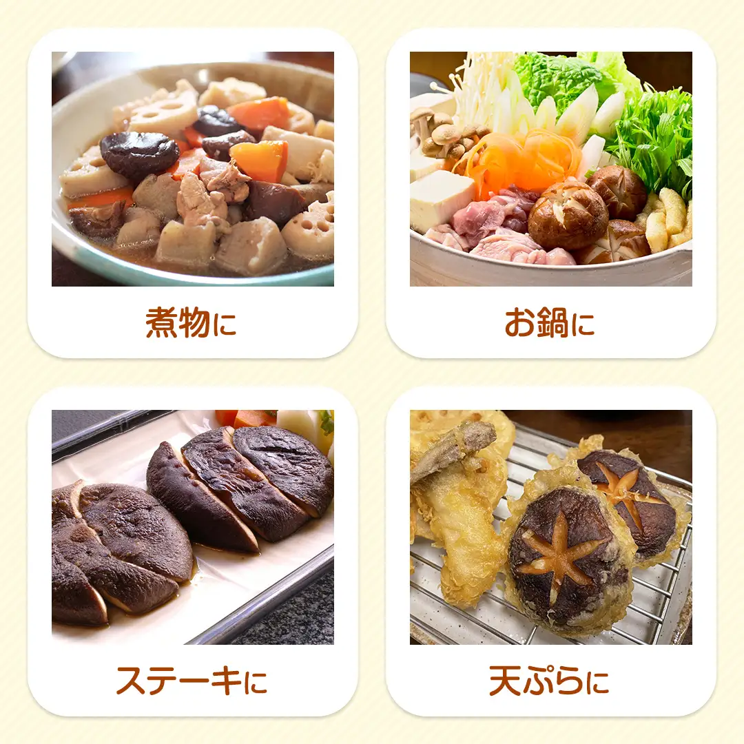 八千代町産 乾燥 しいたけ 約40g 椎茸 シイタケ きのこ キノコ 乾燥 ふるさと納税 6000円 茨城県 八千代町 [CW004ya]