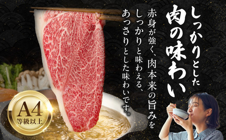 宮崎牛赤身（ウデ）焼きしゃぶ500g  牛肉 ブランド牛 和牛 赤身 ウデ肉 ウデ 焼きしゃぶ しゃぶしゃぶ すき焼き 贈答用 贈答 贈り物 ギフト 記念日 誕生日 炒め物 惣菜 おかず 内閣総理大臣賞4大会連続受賞 ミヤチク アウトドア キャンプ バーベキュー BBQ グランピング プレゼント _Tk031-015