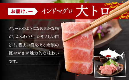 三崎マグロ 鈴木水産 天然インドマグロ （ 大トロ ・ 中トロ 赤身 ） セット M105-001 冷凍 マグロ