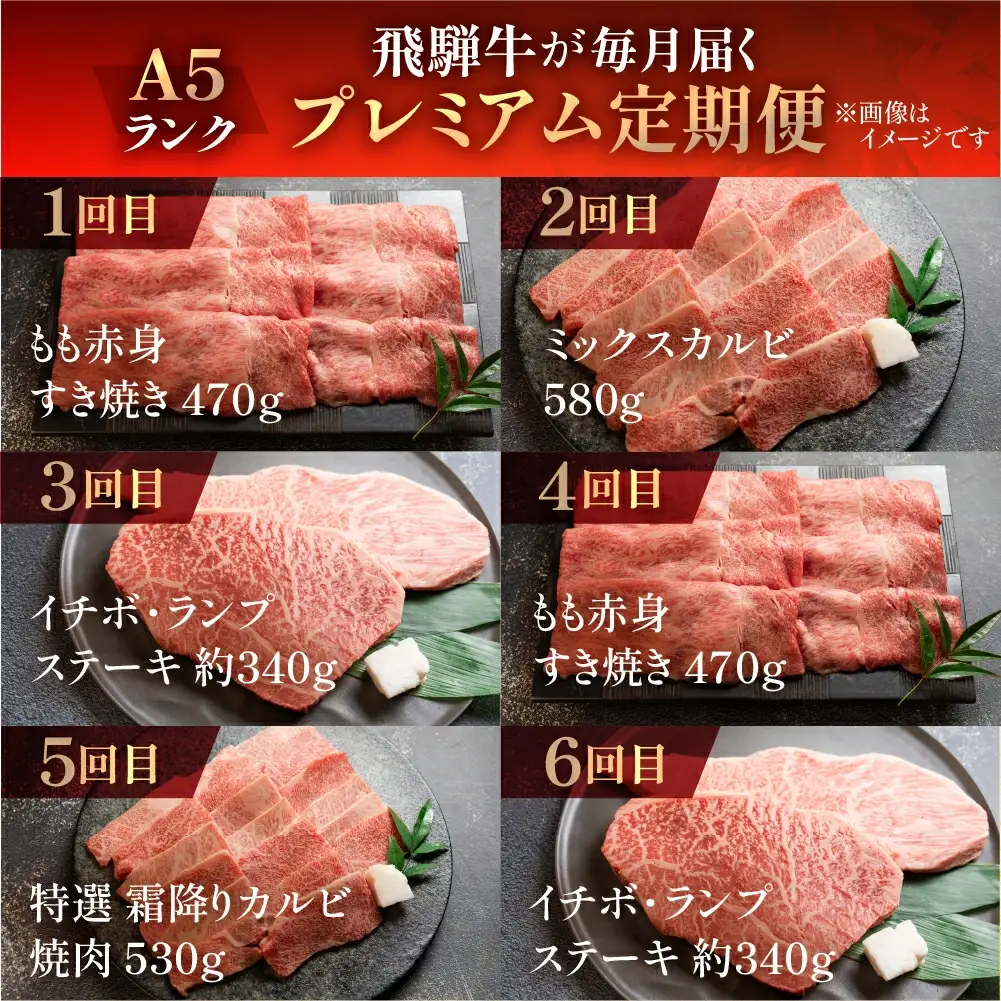 【定期便 12回】飛騨牛  (ステーキ / 焼き肉 / すき焼き /希少部位 赤身 / 霜降り) 【11-O】