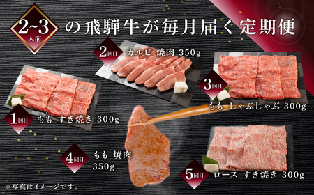 【定期便 5回】 飛騨牛 ふたりで楽しむ 定期便 5回 牛肉 (すき焼き / 焼き肉 / しゃぶしゃぶ / 赤身 / カルビ) 5カ月 2人前 【70-B】