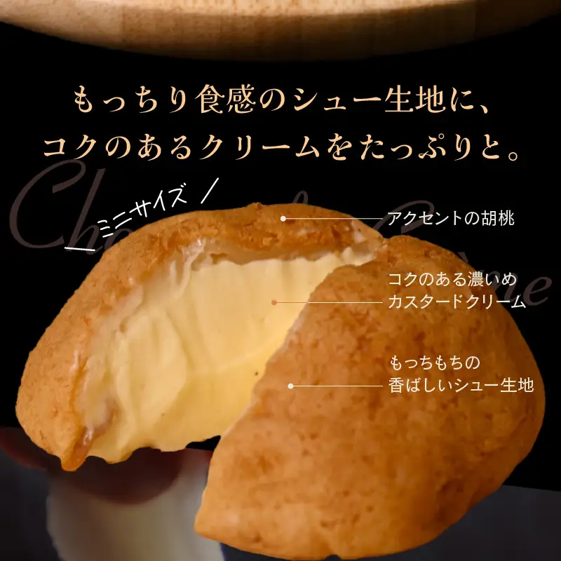 福井の銘菓を洋菓子で味わう 「ミニ羽二重シュー」 5個入り × 2箱セット [A-08202]