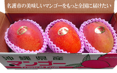 2026年発送【75マンゴー生産部会】 75（名護）マンゴー 約1kg