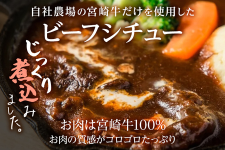 九州産黒毛和牛 ビーフシチュー 4個セット 惣菜 汁物 晩御飯 晩ご飯 晩飯 夕飯 夜ご飯 夜食 洋風 オリジナル スープ お肉たっぷり じっくり 煮込み 壱岐ファーム 自社農場 宮崎牛