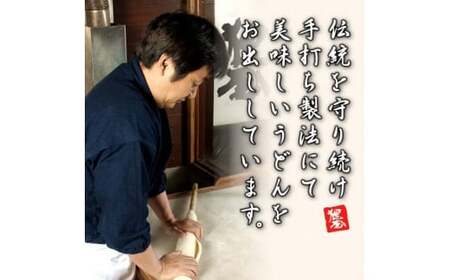 狸屋 食べきり讃岐うどん一番人気のかけつゆ付き 10人前 詰合せ 生うどん カレー つゆ うどん 本場 讃岐 讃岐うどん さぬきうどん ご当地 グルメ 名産品 食品 四国  F5J-204