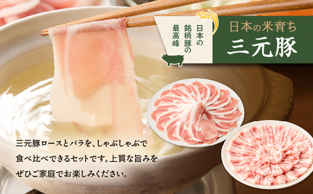 日本の米育ち平田牧場 三元豚ロース・バラしゃぶしゃぶ　各250g（計500g）　T036-007 肉 豚肉
