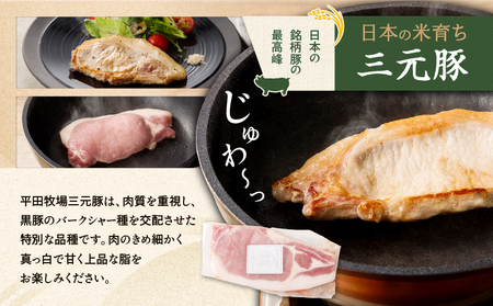 日本の米育ち平田牧場 三元豚ロースステーキ 100g×6枚（計600g）　T036-012 肉 豚肉